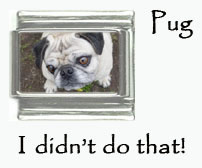 pug tan charm 0753_P